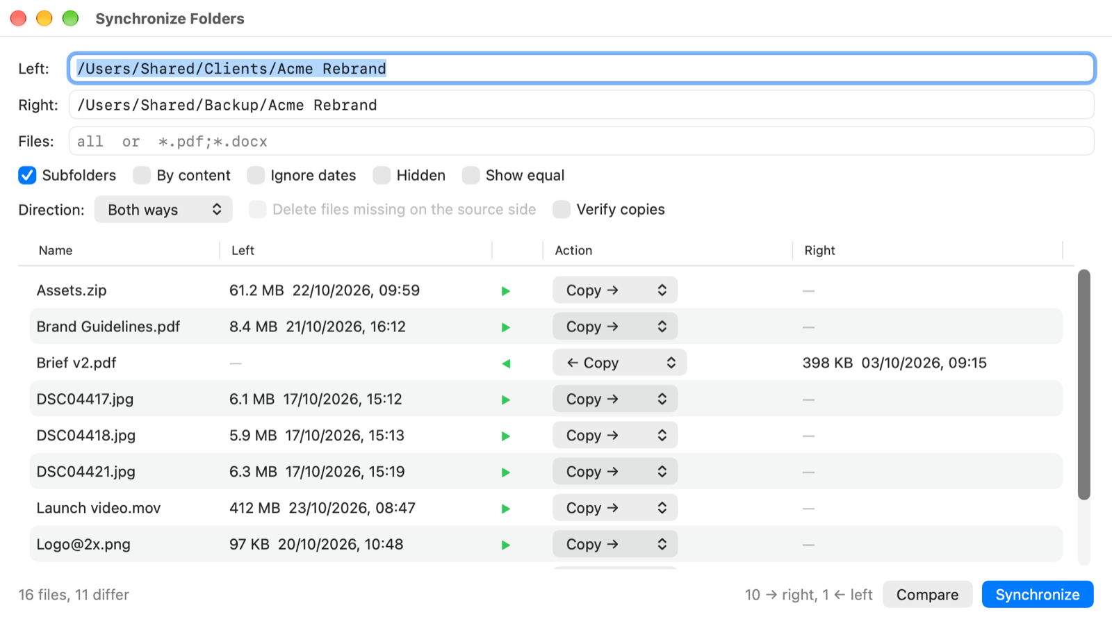 Synchronize Folders listing the files that differ between a client folder and its backup